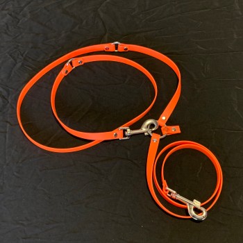 Dog Leads