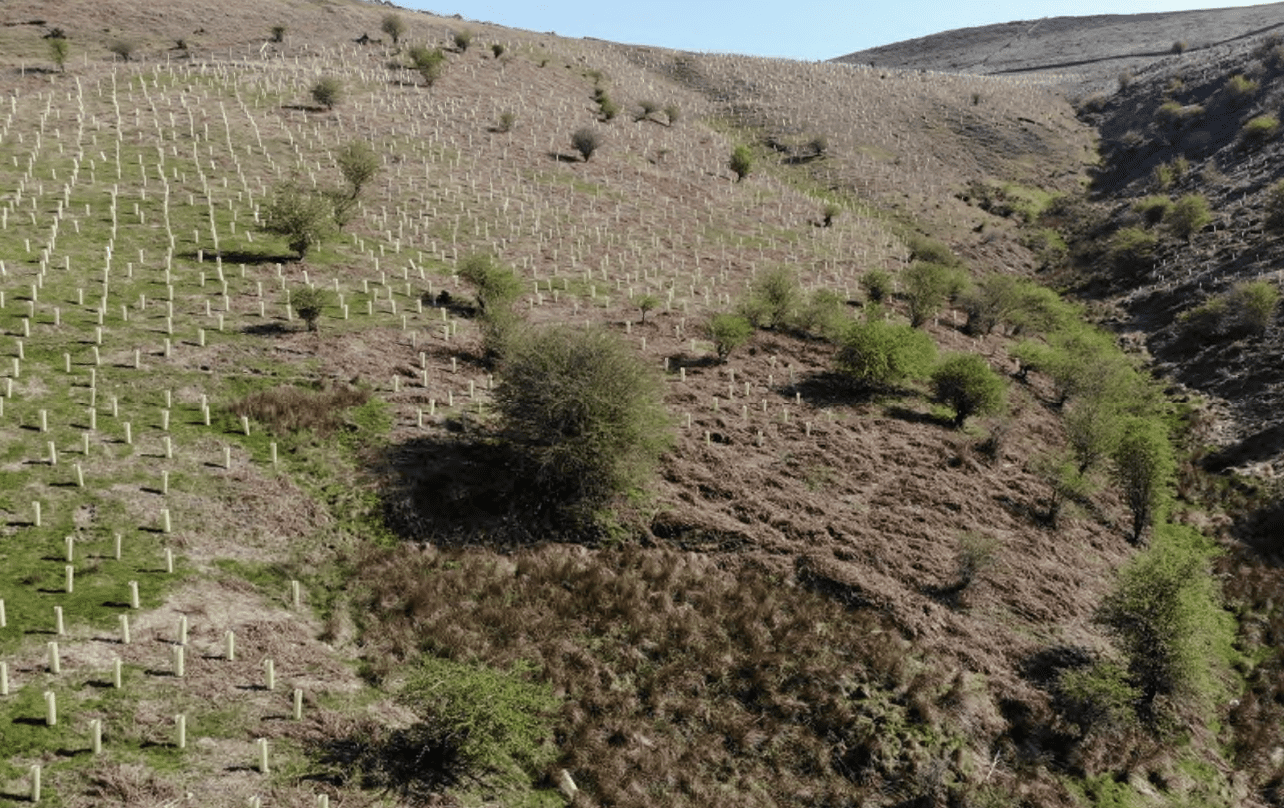 Screenshot 2025-09-24 at 13.31.07